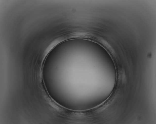 X0000093501370200710191240