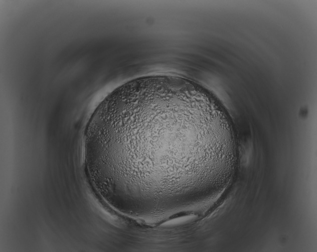 X0000093501371200710191240