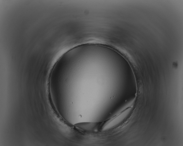 X0000093501375200710191240