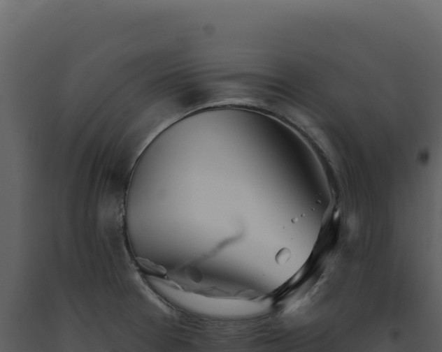 X0000093501377200710191240