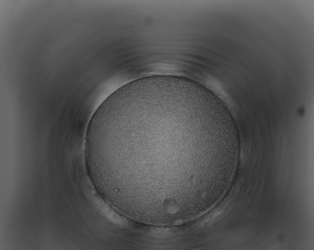 X0000093501378200710191240