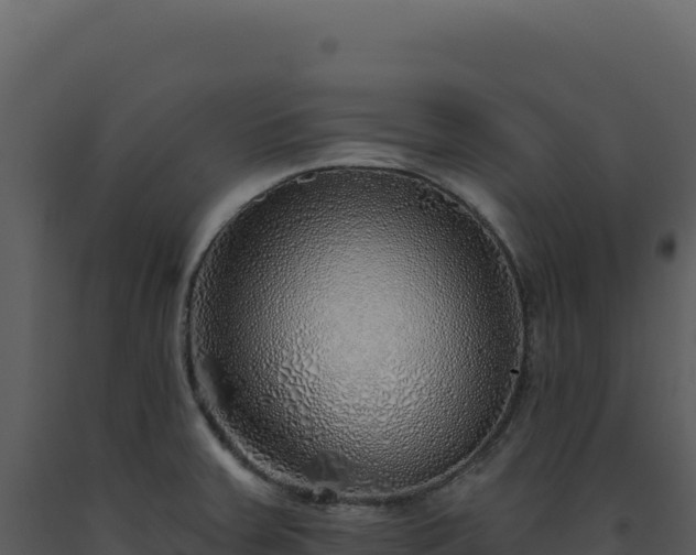 X0000093501379200710191240