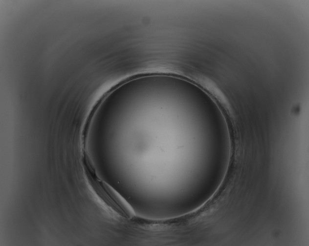 X0000093501380200710191240