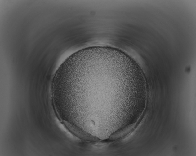 X0000093501382200710191240