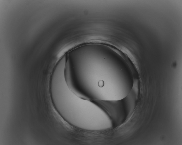 X0000093501384200710191240