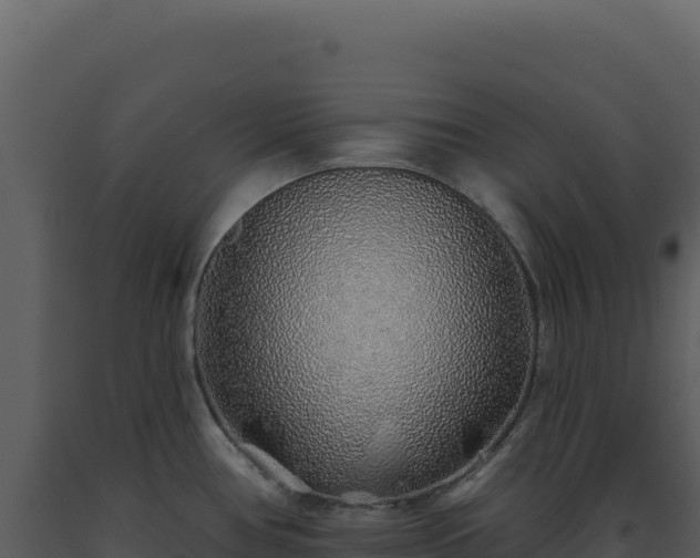 X0000093501386200710191240