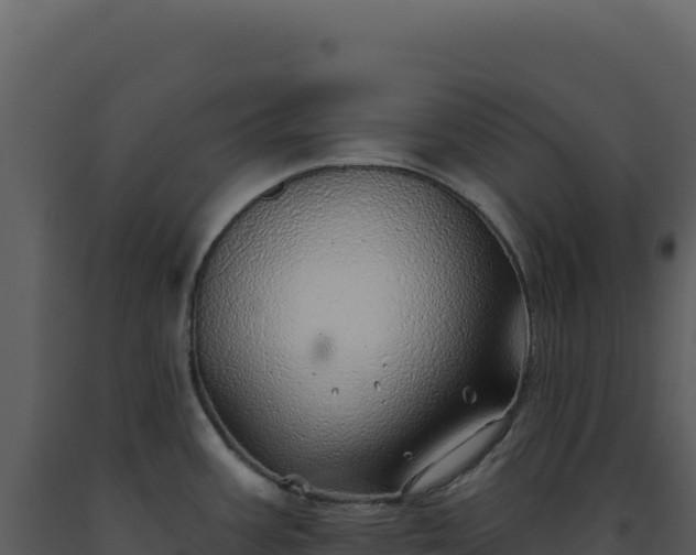 X0000093501387200710191240
