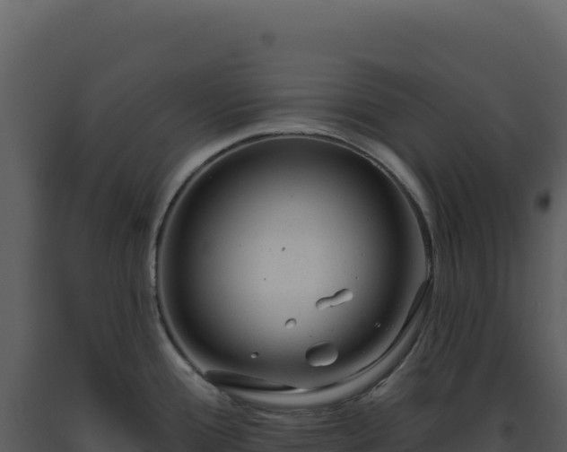 X0000093501388200710191240