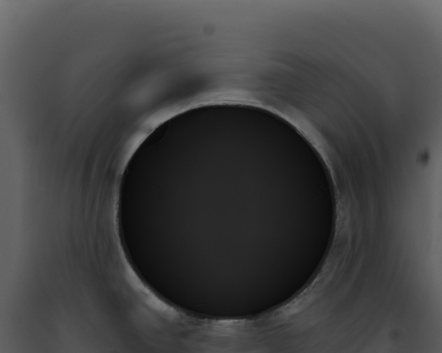 X0000093501390200710191240