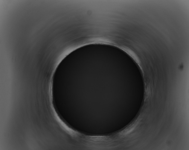 X0000093501391200710191240