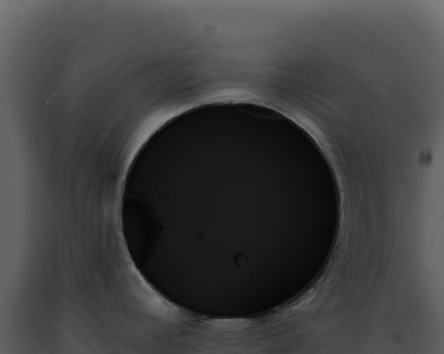 X0000093501392200710191240