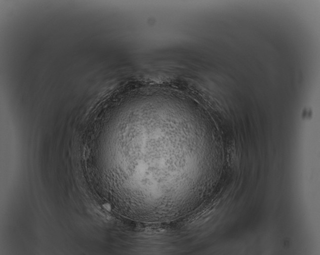 X0000093501393200710191239