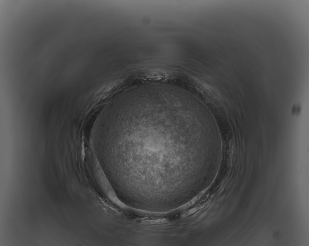 X0000093501394200710191239