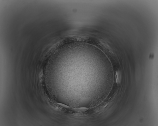 X0000093501395200710191239
