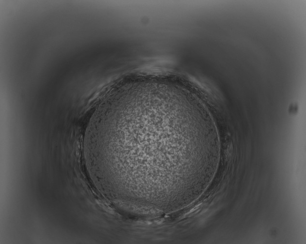 X0000093501397200710191239