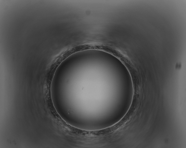 X0000093501398200710191239