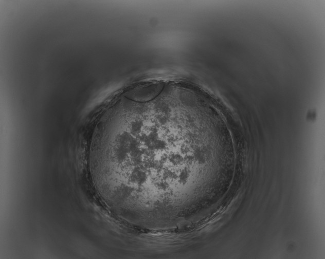 X0000093501399200710191239