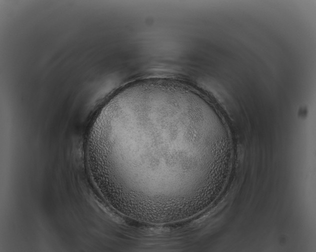 X0000093501403200710191239