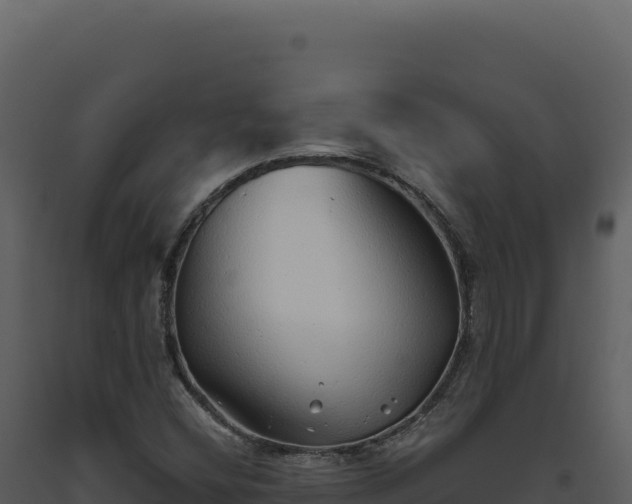 X0000093501404200710191239