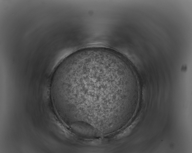 X0000093501405200710191239
