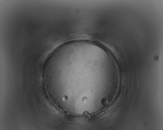 X0000093501407200710191239