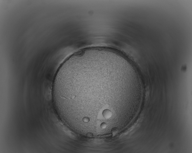 X0000093501409200710191239