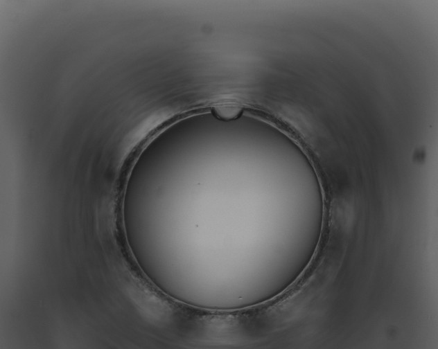 X0000093501410200710191239