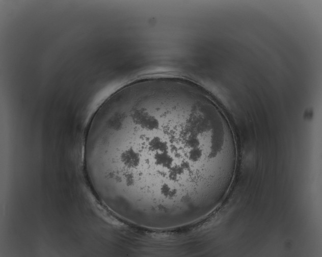 X0000093501413200710191239