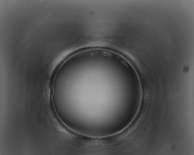 X0000093501414200710191239