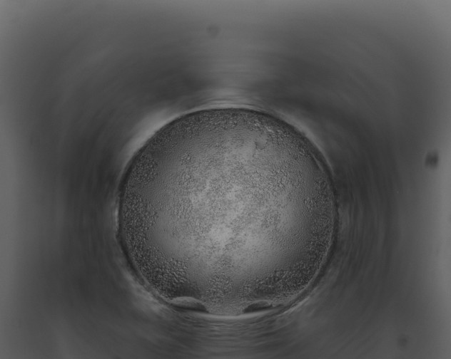 X0000093501415200710191239