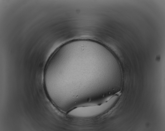 X0000093501420200710191239