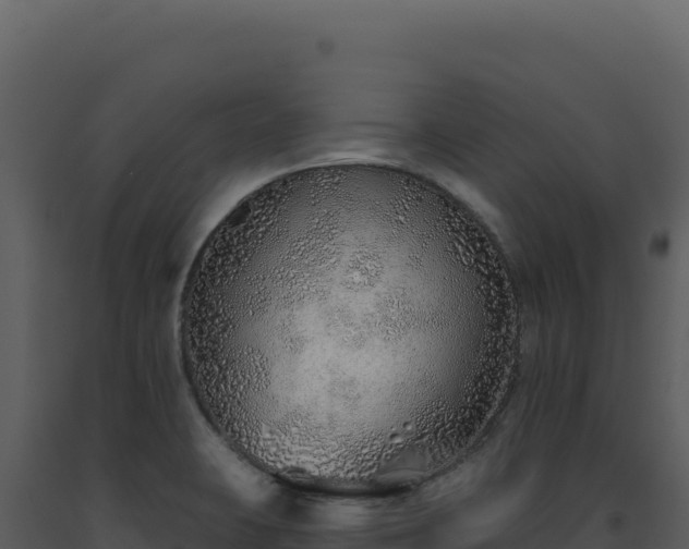 X0000093501423200710191239