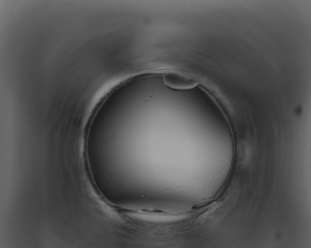 X0000093501424200710191239