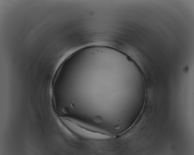 X0000093501428200710191239