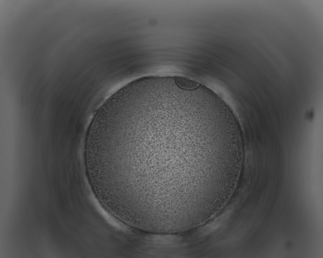 X0000093501429200710191239