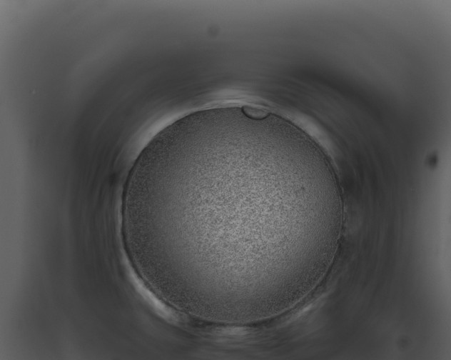 X0000093501431200710191239