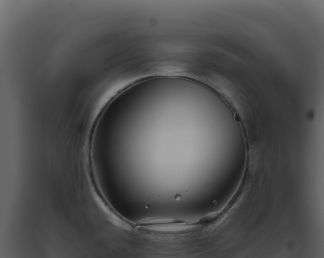 X0000093501432200710191239
