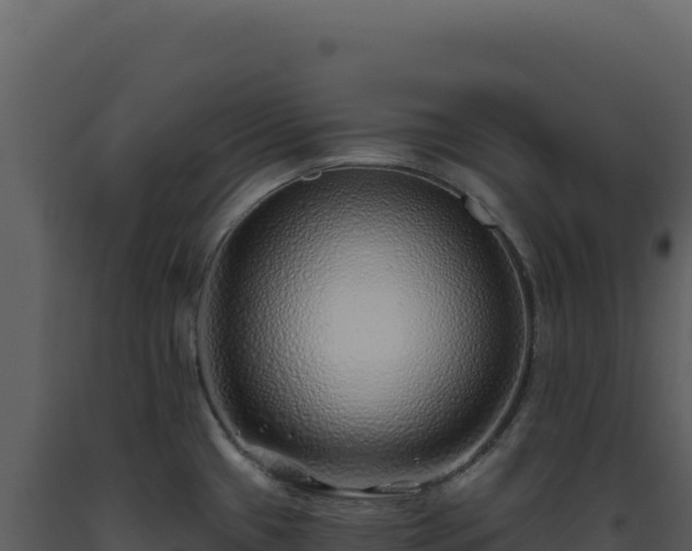 X0000093501433200710191239