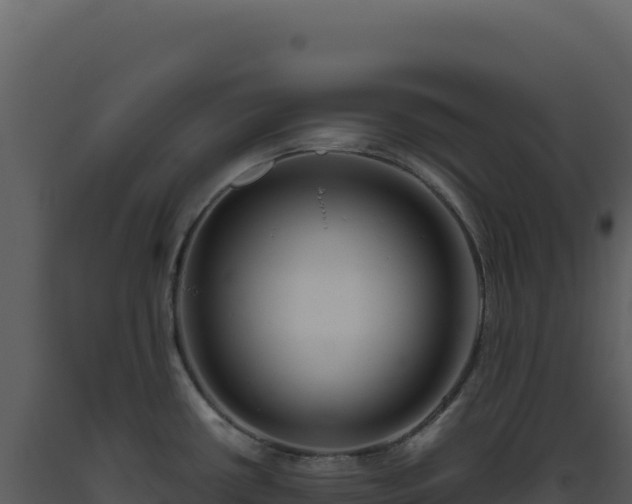 X0000093501434200710191239