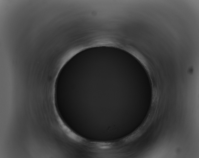 X0000093501439200710191240