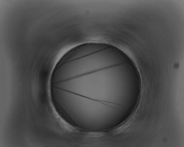 X0000093501440200710191240