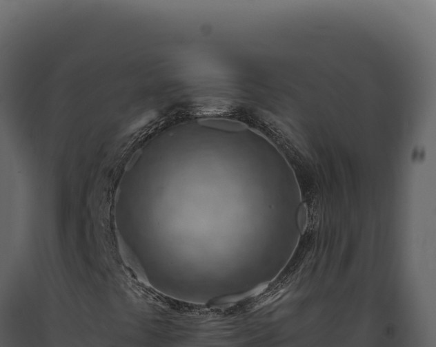 X0000093501441200710191239