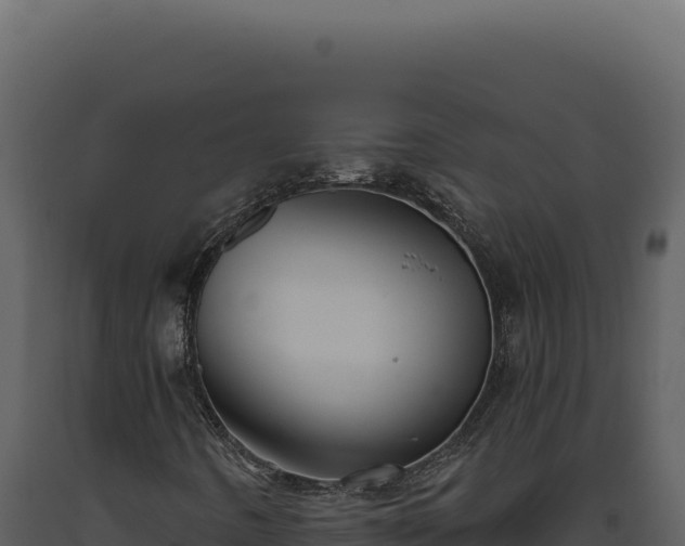 X0000093501442200710191239