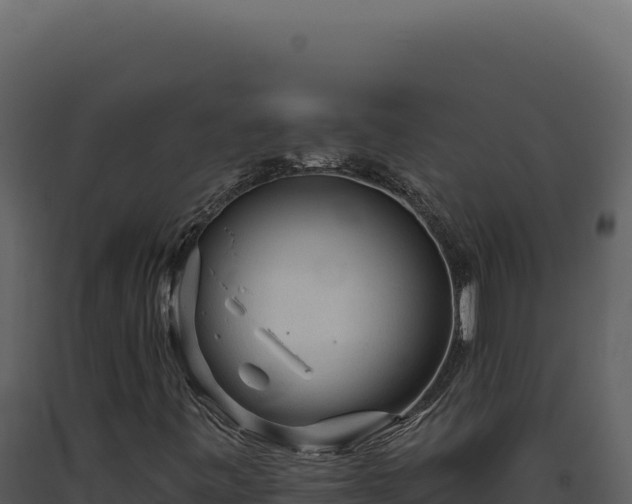 X0000093501443200710191239