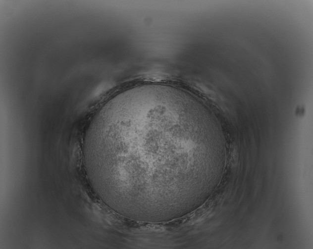 X0000093501446200710191239