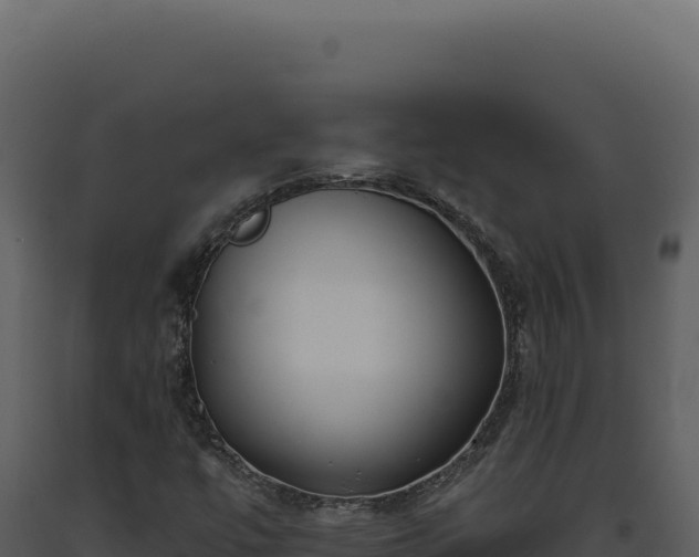 X0000093501447200710191239