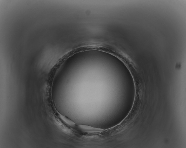 X0000093501448200710191239