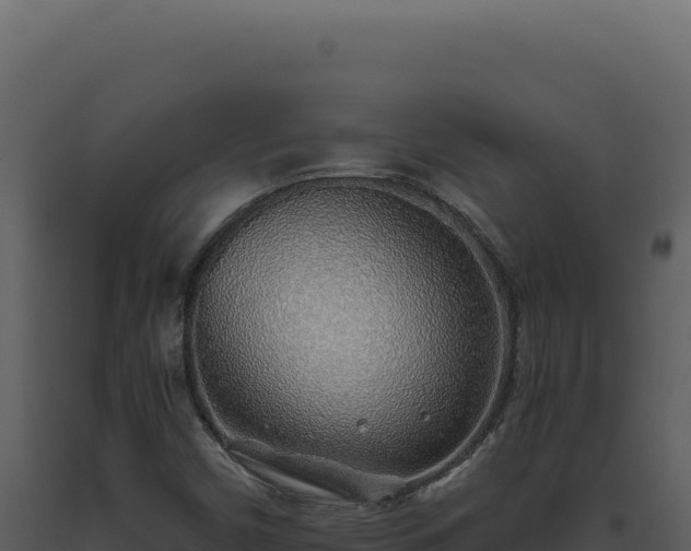 X0000093501450200710191239