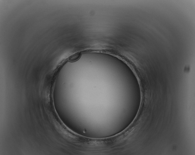 X0000093501451200710191239