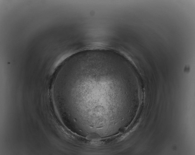 X0000093501453200710191239